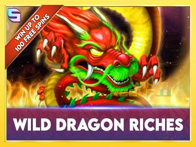 Speelautomaat Wild Dragon Riches