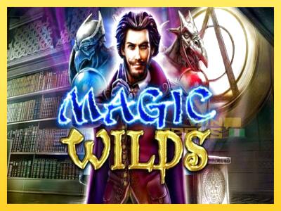 Speelautomaat Magic Wilds