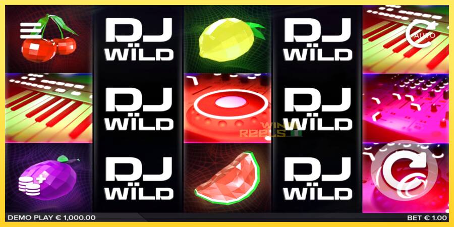 Afbeelding 1 speelautomaat DJ Wild