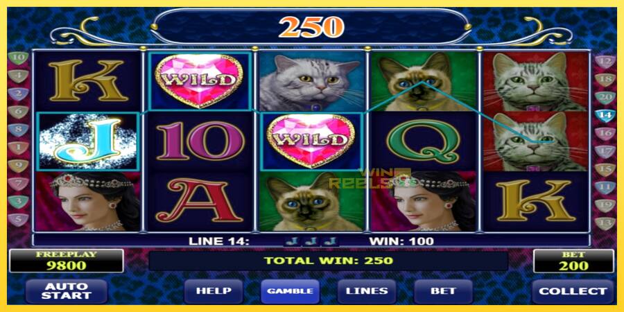 Afbeelding 2 speelautomaat Diamond Cats