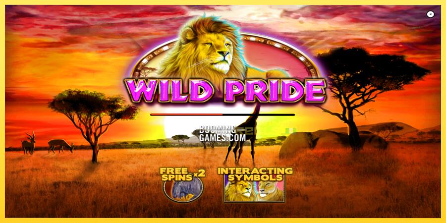 Afbeelding 1 speelautomaat Wild Pride