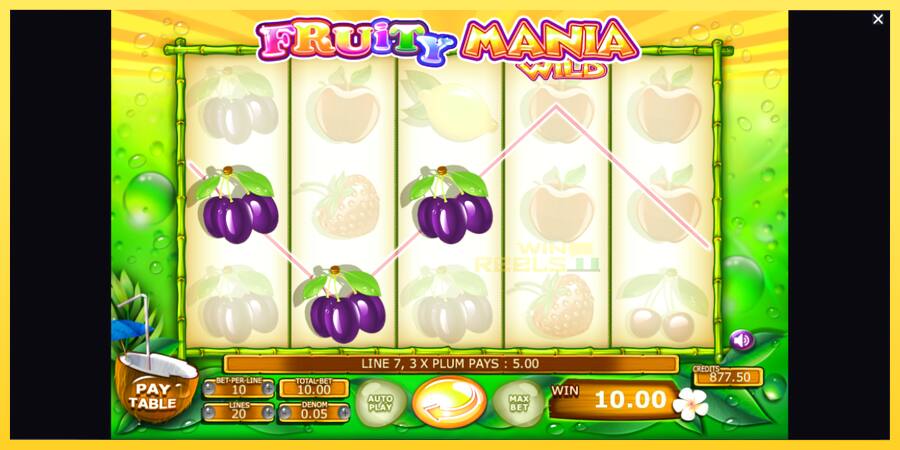 Afbeelding 4 speelautomaat Fruity Mania