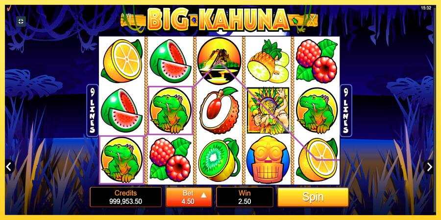 Afbeelding 2 speelautomaat Big Kahuna