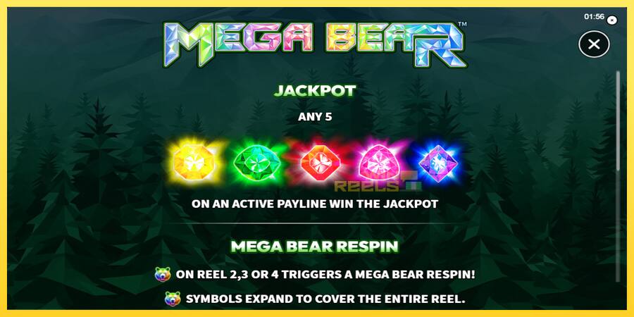 Afbeelding 5 speelautomaat Mega Bear