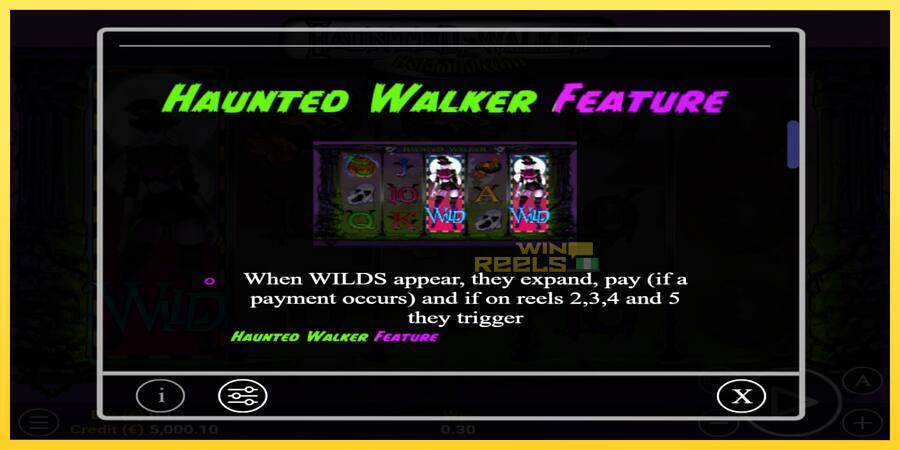 Afbeelding 5 speelautomaat Haunted Walker 2