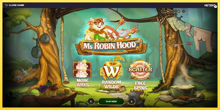 Afbeelding 1 speelautomaat Ms Robin Hood