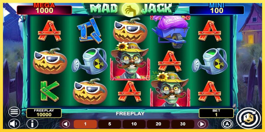 Afbeelding 1 speelautomaat Mad Jack Hold & Win