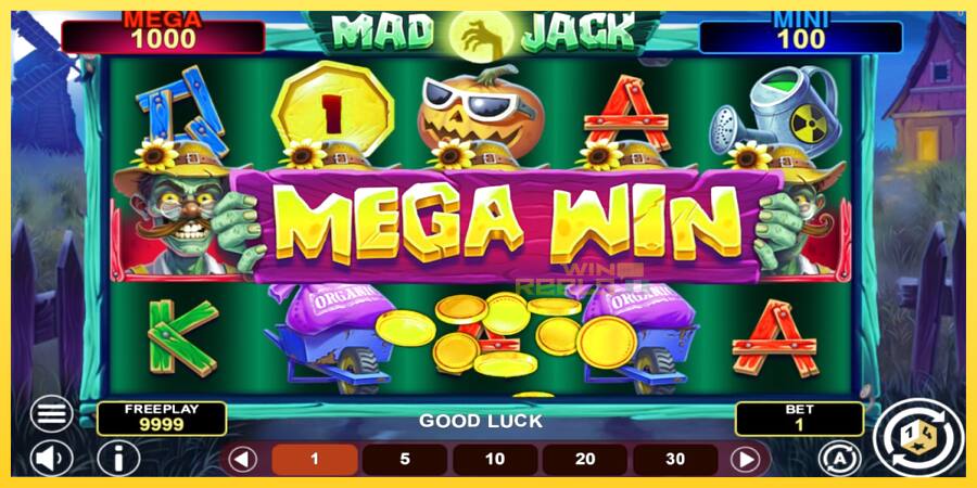 Afbeelding 2 speelautomaat Mad Jack Hold & Win