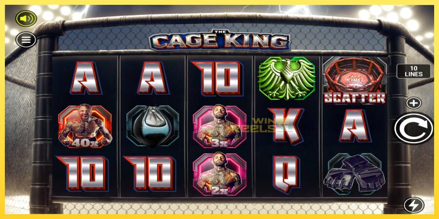 Afbeelding 1 speelautomaat The Cage King