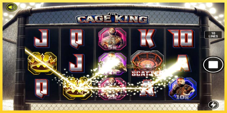 Afbeelding 2 speelautomaat The Cage King