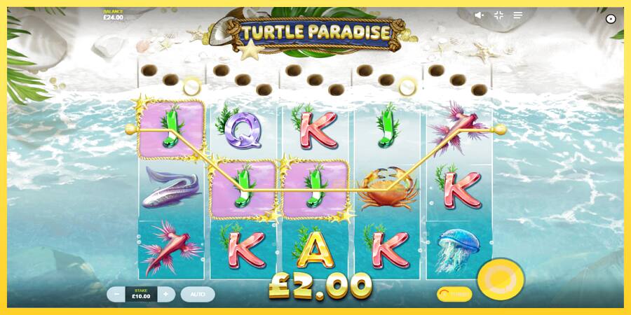 Afbeelding 4 speelautomaat Turtle Paradise