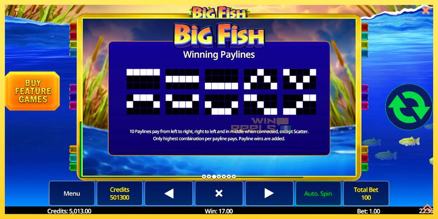 Afbeelding 6 speelautomaat Big Fish