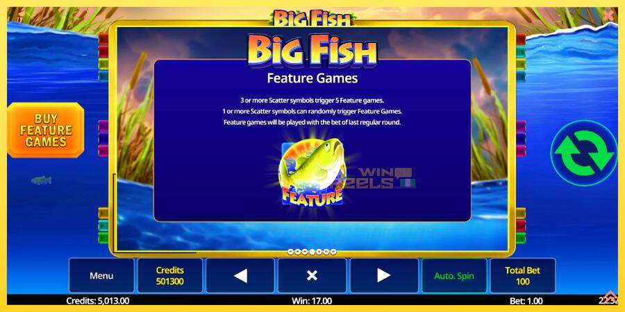 Afbeelding 7 speelautomaat Big Fish