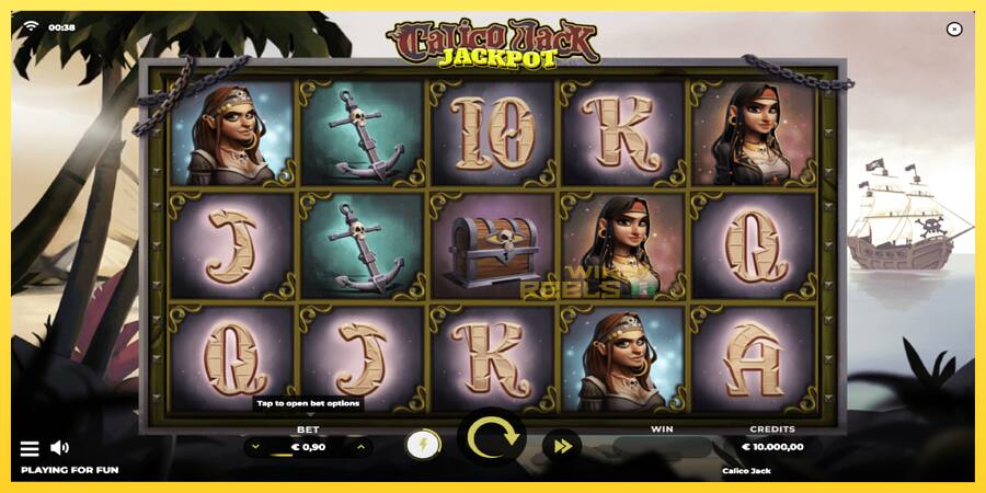 Afbeelding 1 speelautomaat Calico Jack Jackpot