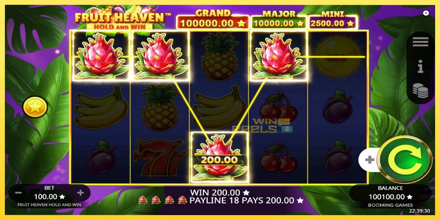 Afbeelding 3 speelautomaat Fruit Heaven Hold and Win