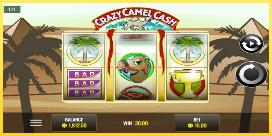 Afbeelding 3 speelautomaat Crazy Camel Cash