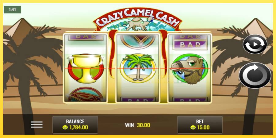 Afbeelding 4 speelautomaat Crazy Camel Cash